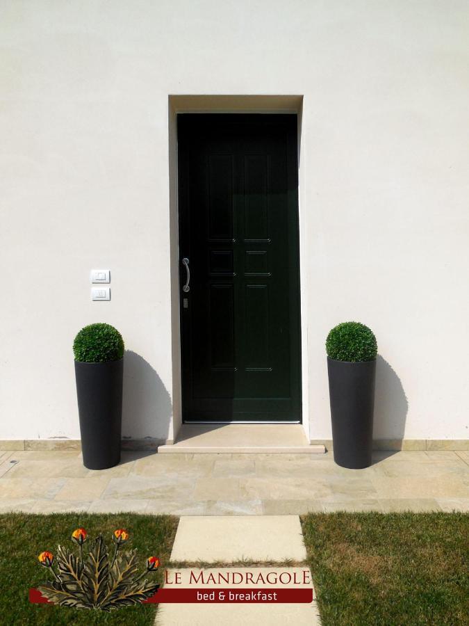 Le Mandragole B&B Roncade Zewnętrze zdjęcie