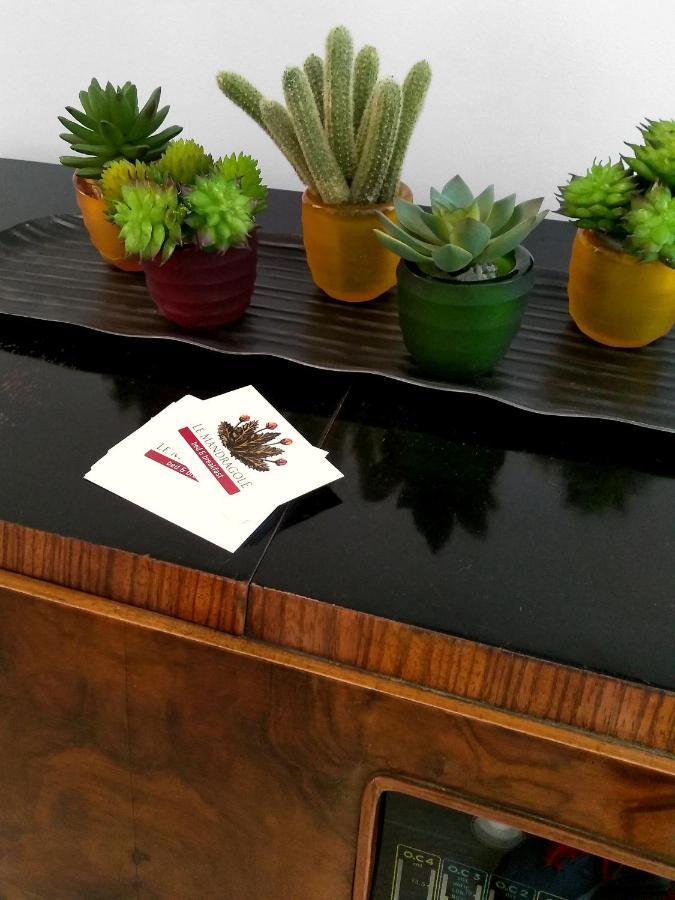 Le Mandragole B&B Roncade Zewnętrze zdjęcie