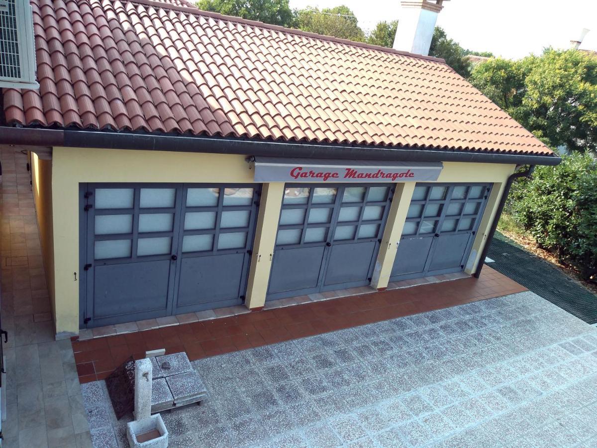 Le Mandragole B&B Roncade Zewnętrze zdjęcie